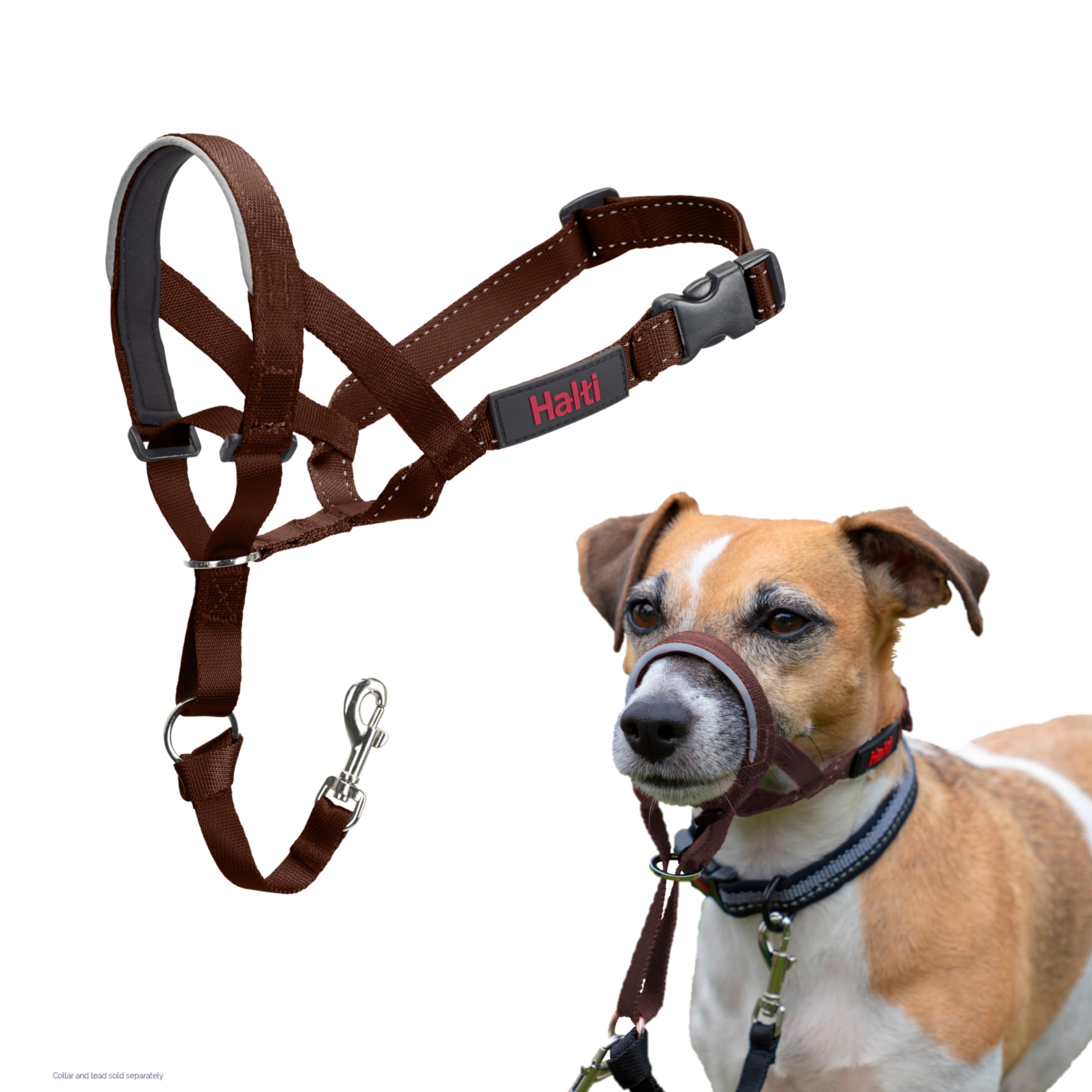 Halti Headcollar - Stop Your Dog Pulling on the Lead. Adjustable, Reflective and Lightweight, with Padded Nose Band. Dog Training Anti-Pull Collar for Small Dogs (Size 1, Deep Walnut)