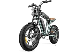 ENGWE M20 Electric Bike for Adults - 1000W 28mph Moped Ebike 48V13A Single/48V26A Dual Battery 20*4.0" Fat Tire All Terrain Off Road E-Bike Full Suspension Max 94Miles Long Range 7-Speed UL Certified