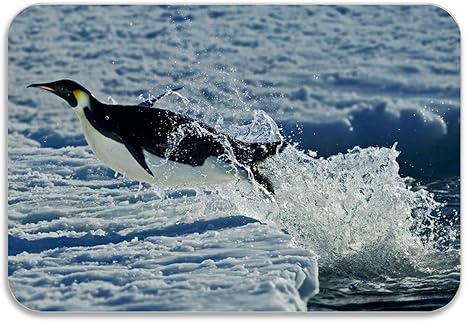 Amazon 自然動物冬雪ペンギン屋内 屋外天然ゴム非スリップエントリ玄関マット パティオ 正面玄関 全天候用屋外ドア 80x50cm 玄関マット オンライン通販