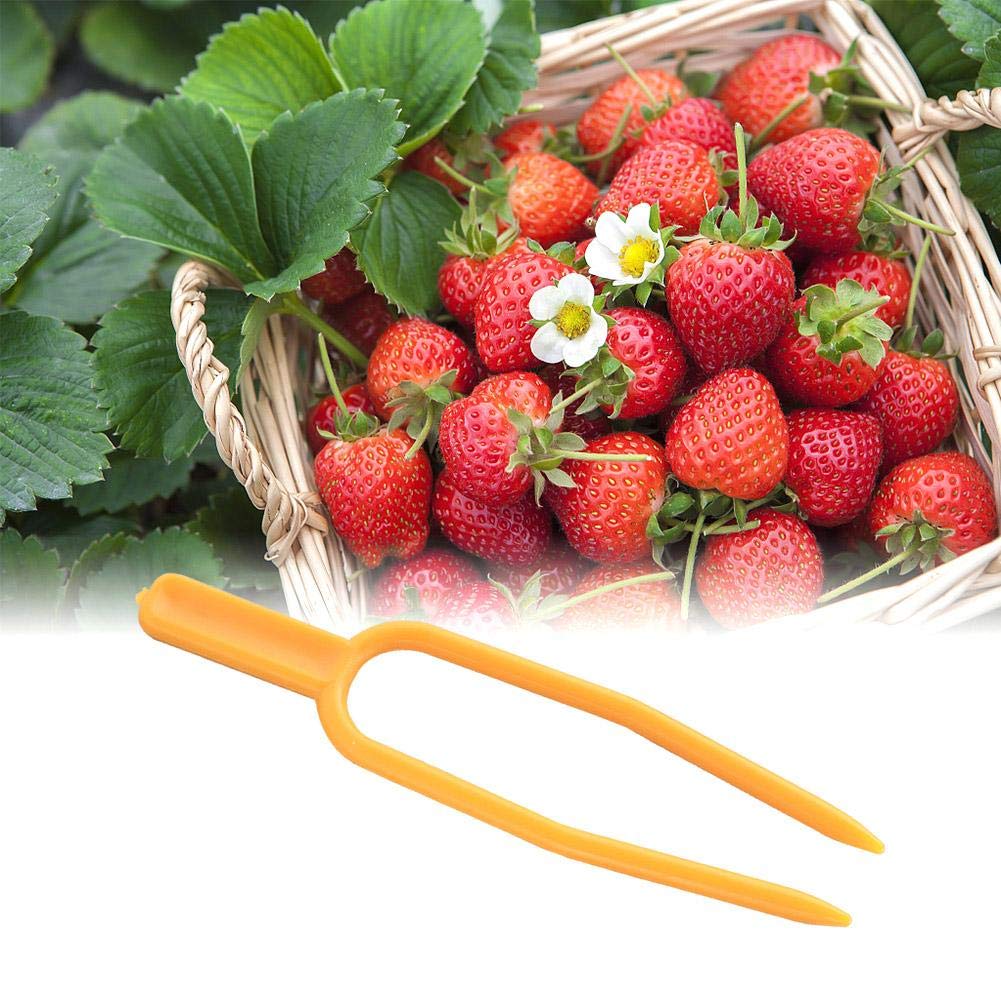 Plant Clip 100PCS Fresa Plantación Tenedor Presión Vid Horquilla ...