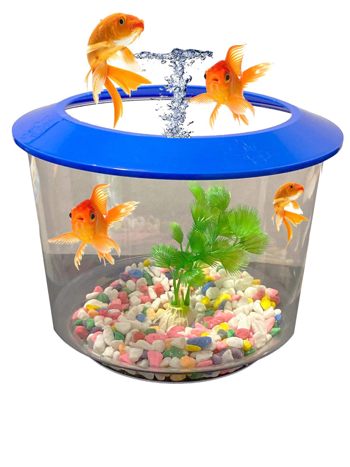 Pet Living Goldfish Bowl Strater Set Gold Fish Bowl with Ornamental Plant Fish Bowl (BLUE)