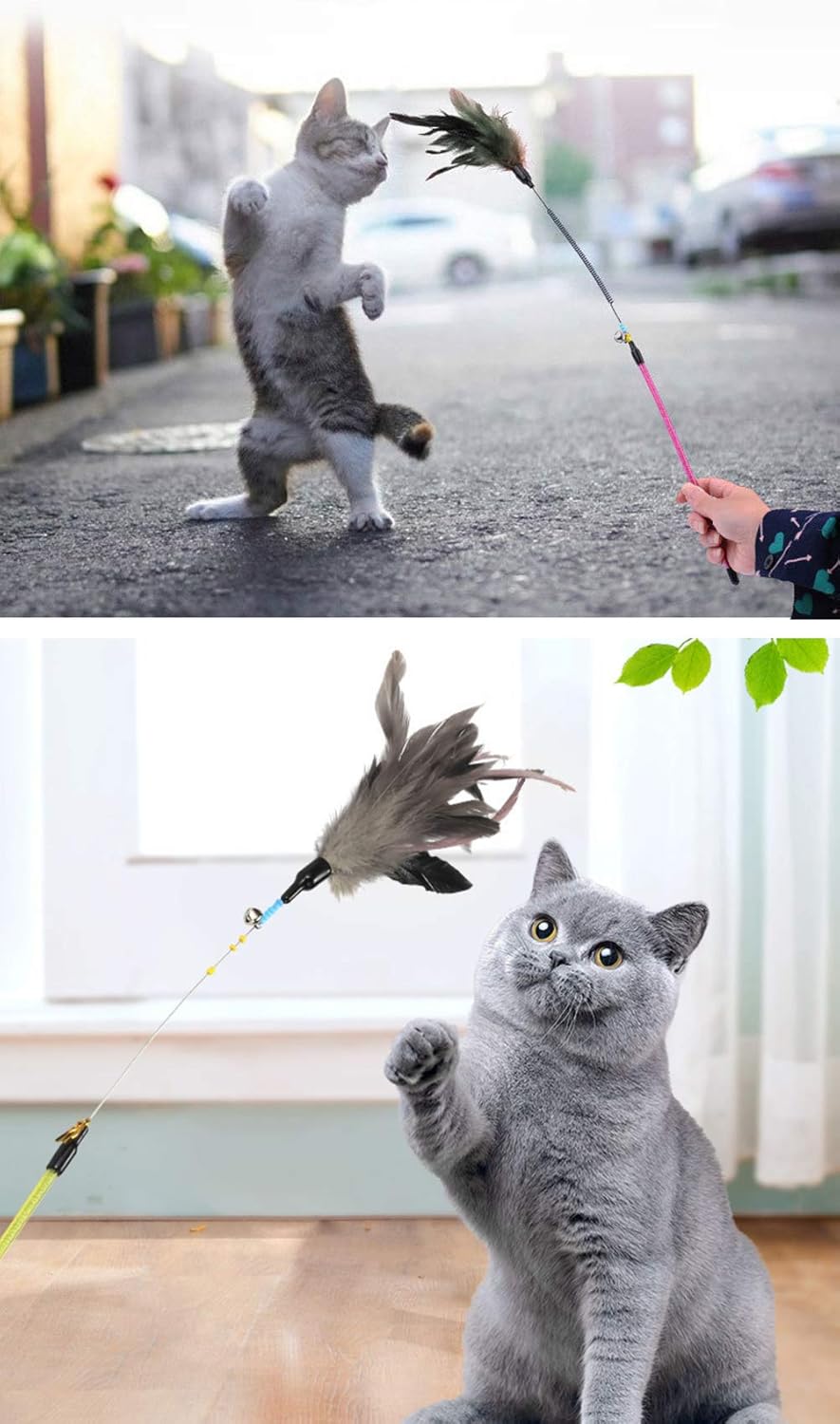 large spring cat toy