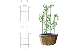 MTB SUPPLY 2 Pack Black Coated Wave Pot Trellis Panel 31'' Plant Stakes for Climbing Plants Outdoor Roses Vines Flower Vegetable Supports