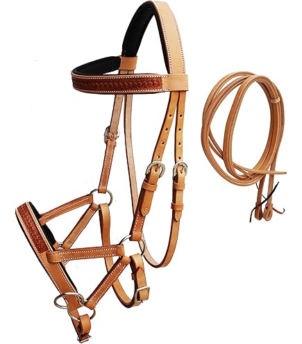 Ensemble Coiffe (tête) Et Col De Poitrine Western En Cuir Véritable