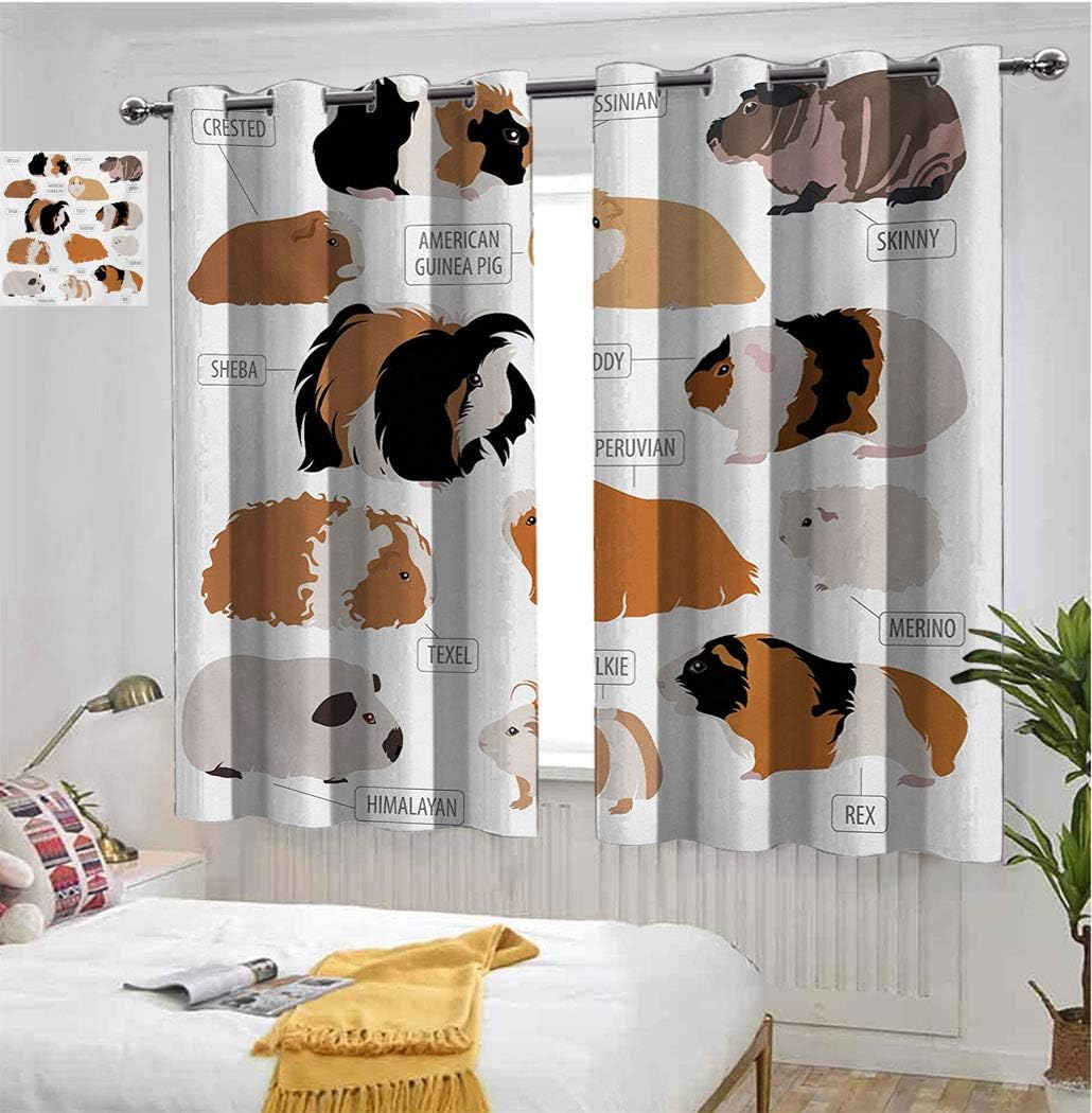 Amazing Guinea Pig Blackout Window Curtains, Infographic