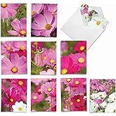 The Best Card Company - 10 Blank Note Cards with Flowers (4 x 5.12 Inch) - Floral Notecards, All Occasion Boxed Assortment - Cosmos-Politan M6029