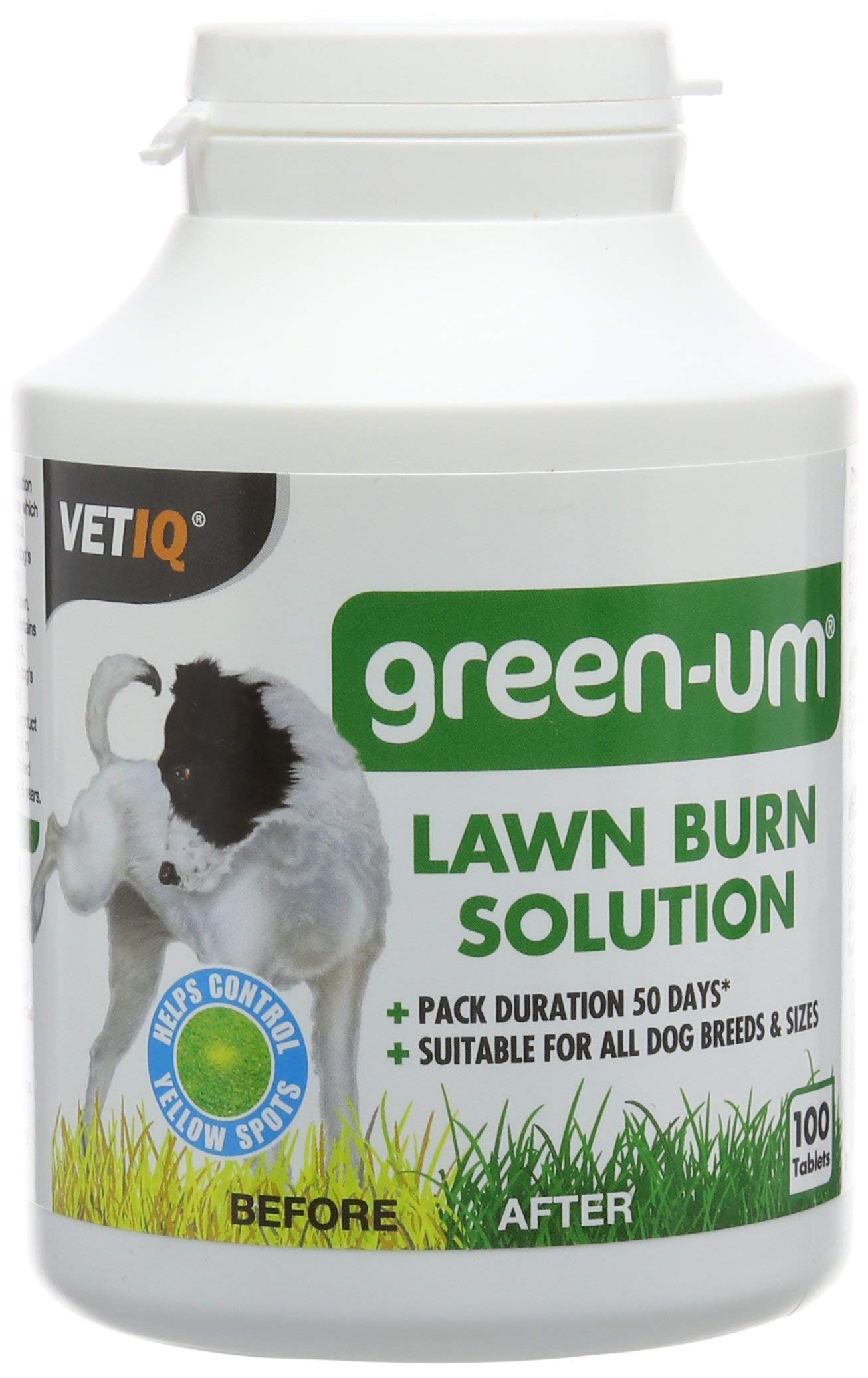 Mark & ​​Chappell Limited - Solution Burns lawn