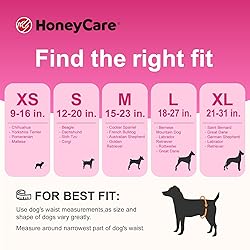 HONEY CARE All-Absorb Disposable Female Dog Diapers