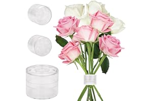 MAGICPALACE Spiral Ikebana Stem Holder -Creations with Elegance! Ideal for Ikebana and Beyond. Effortlessly Craft Stunning Bouquets,Dutch Wedding Decor, and Exquisite Floral Art! (Transparent-9 holes)