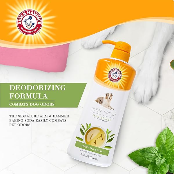 ARM & HAMMER ULTRA FRESH OATMEAL DOG SHAMPOO WITH ALOE FOR ITCH RELIEF AND ODOR CONTROL, BAKING SODA DEODORIZING PET SHAMPOO FOR DRY ITCHY SKIN, PUMP BOTTLE DOG WASH, WHITE TEA & SAGE SCENT, 24 FL OZ
