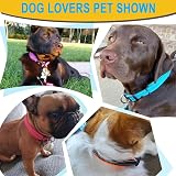 ATETEO Dog Collar Reflective Adjustable Neoprene Padding Nylon Strap M-L view 7