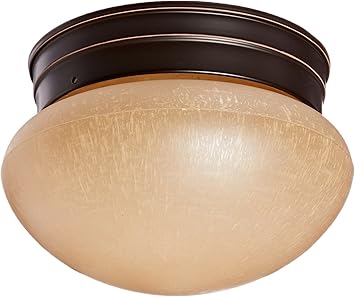 Nuvo Lighting 60 2642 Single Light Small Mushroom Flush Mount