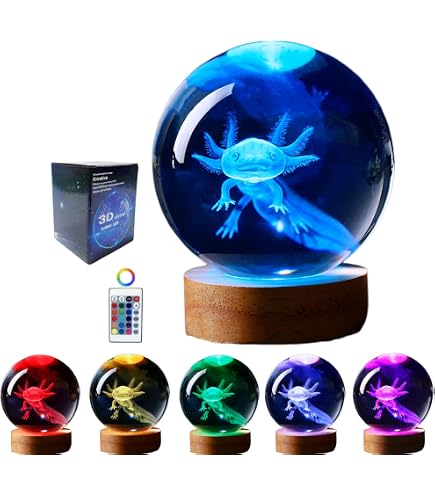 K9クリスタル 3D 恐竜 置物 LEDライトベース U充電 DIGFPWT Dinosaur Crystal Ball Lamp, 3D K9 T-Rex, 3.15in USB
