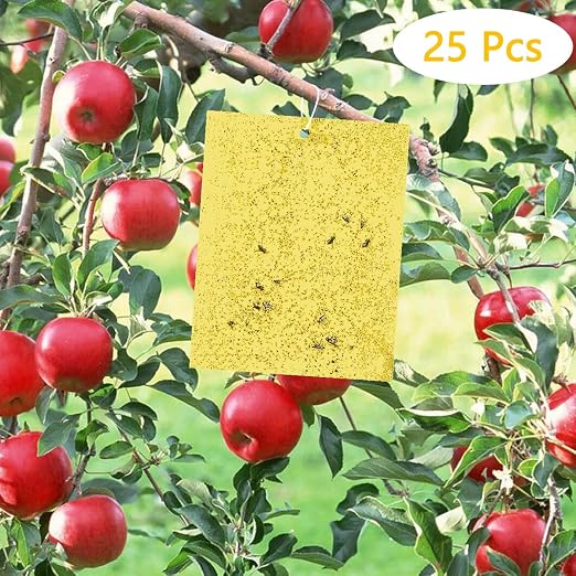 Fulfun Trampas Adhesivas de Doble Cara Amarillas, 25 Pegatinas de ...