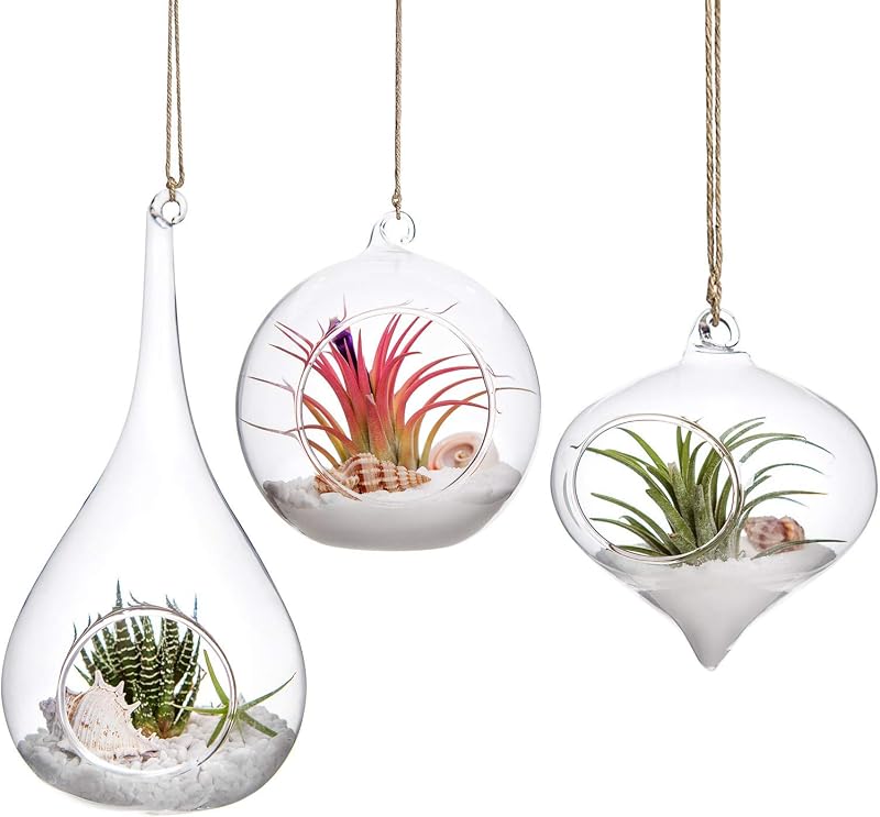 Mkouo 3 Pack Glass Hanging Planter Terrarium Vase for Succulents & Air Plants