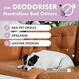 Dirtbusters Leather Cleaner Restorer & Deodoriser 500ml Lavender Oil view 6