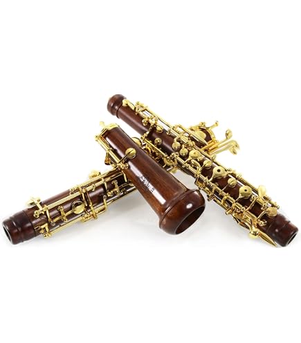 Amazon.com: Rochix Oboe Professional Performance Level RHS13