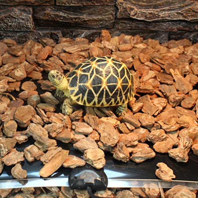 portable reptile heater