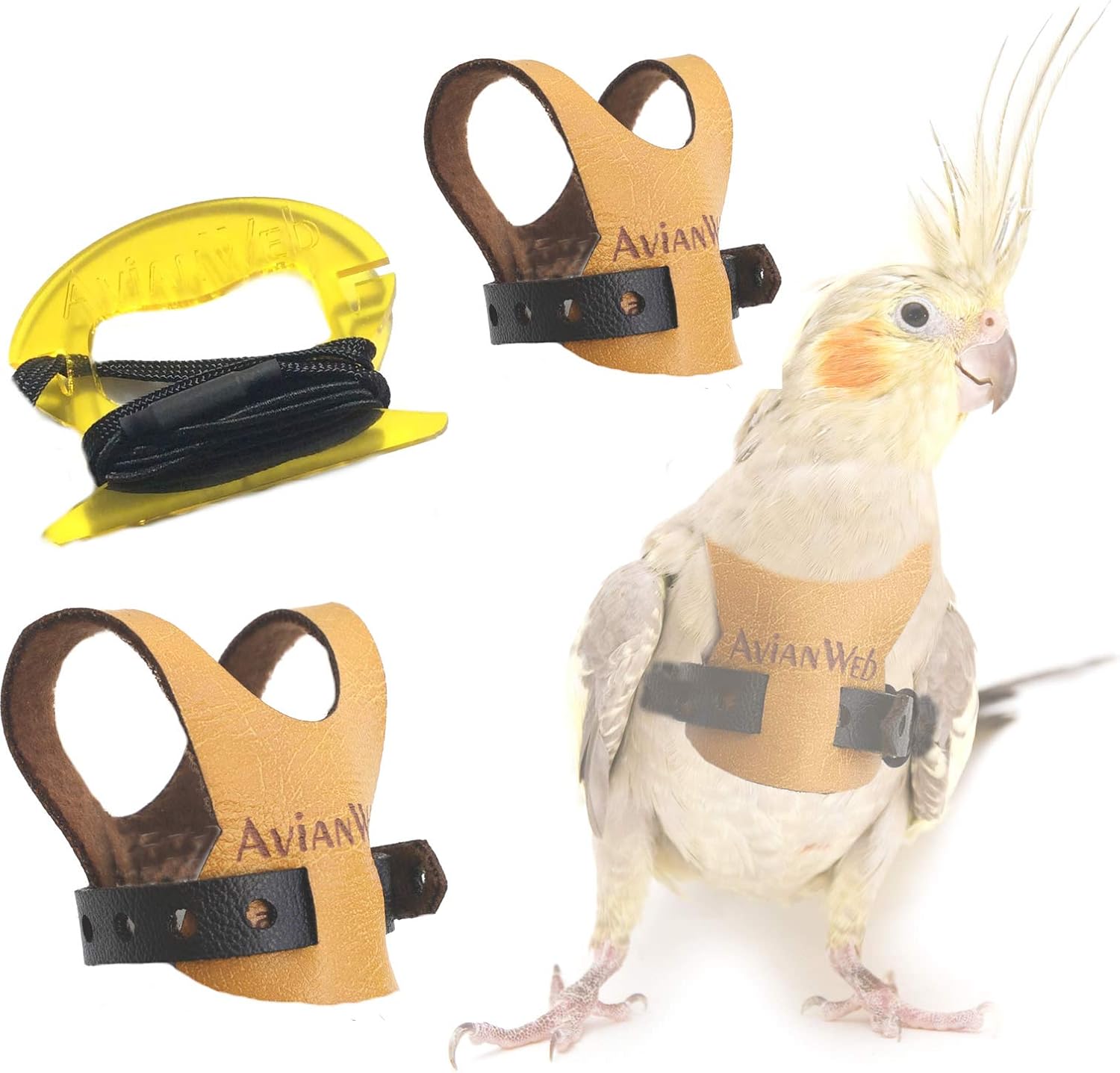 avianweb ez bird harness with leash