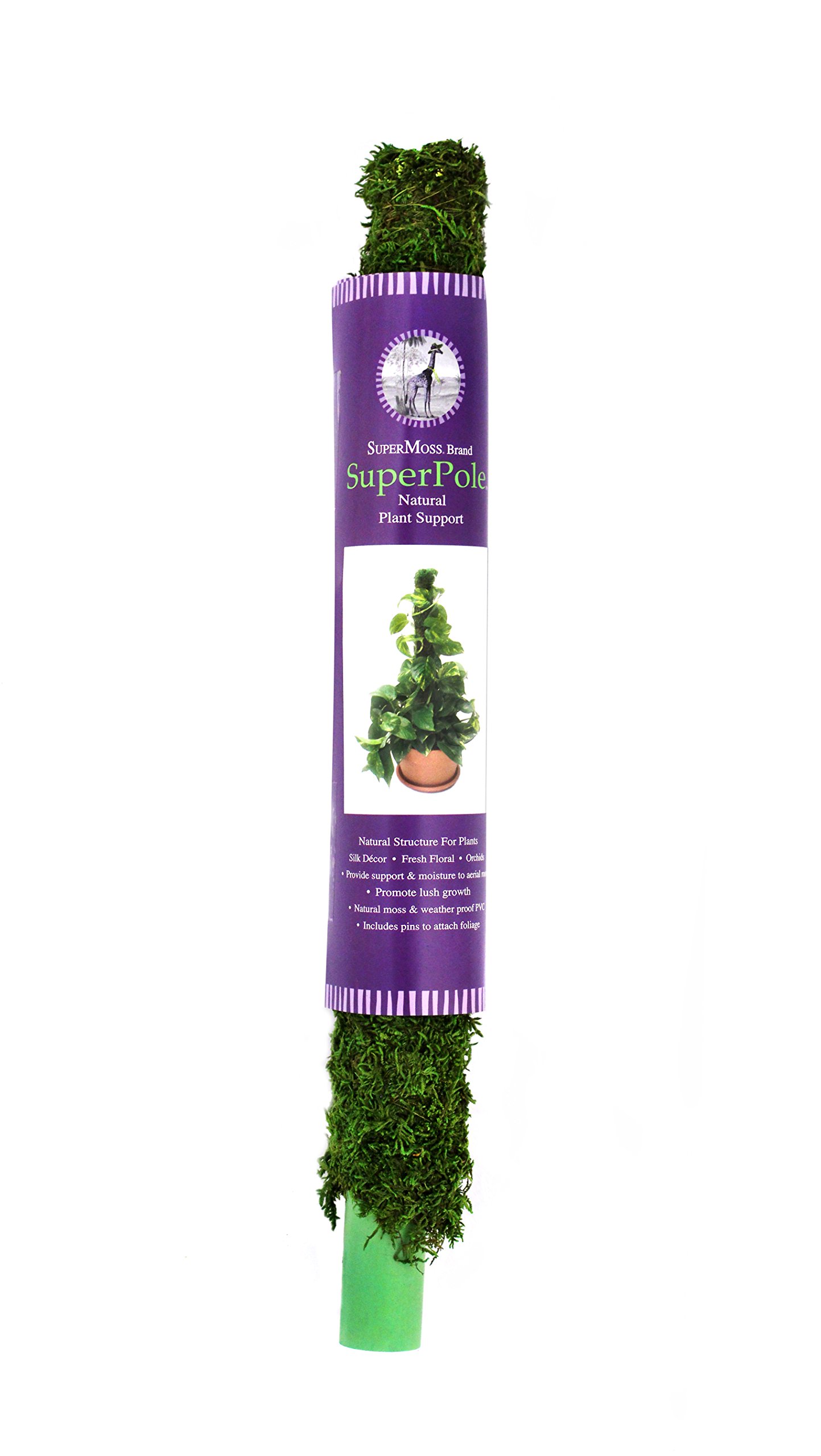Supermoss (22225) Moss Pole / Plant Stake Fresh Green 2 - 2.5Ft. 2 - 2.5Ft. 9 71wd6tkDaOL