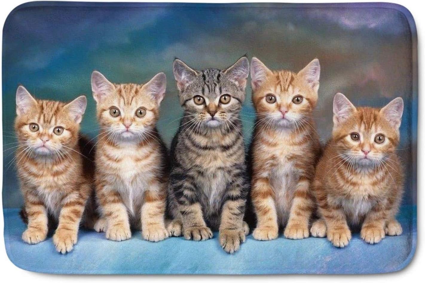 N/A 3d printing door Entrance mat Printing Cute Cat Front Door Mat