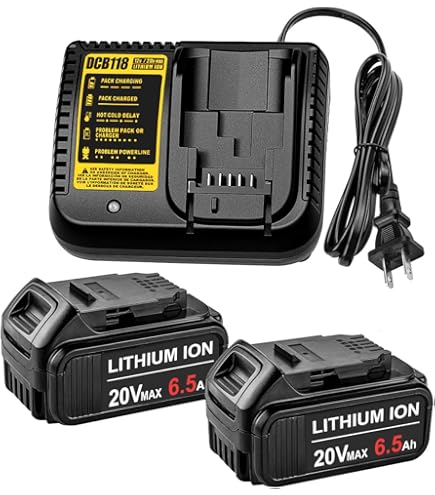 Dewalt Tools ANTRobut 2-Pack 20V Batteries Charger For