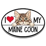 Magnet Me Up I Love My Maine Coon Cat Breed Car