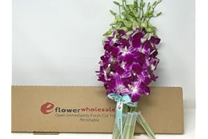 EFLOWERWHOLESALE Fresh Cut Flowers -Dendrobium Orchids Bom Sonia (Purple)