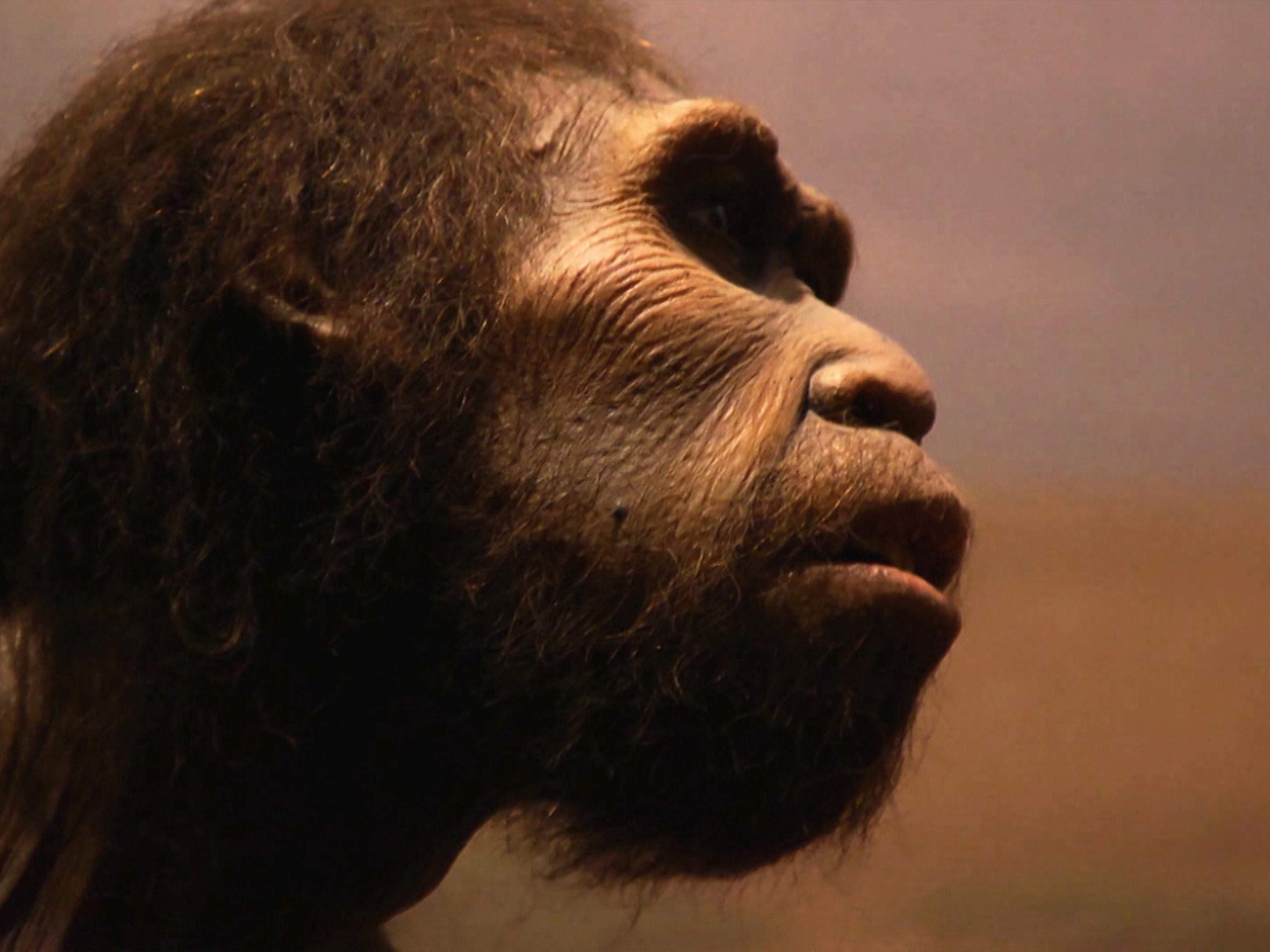 Amazon Co Jp 古代の宇宙人決定的証拠を探せ Kevin Burns Generic