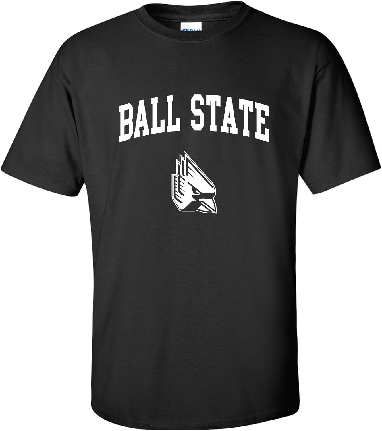 NCAA Arch Logo, Team Color T Shirt, College, University