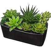 Artificial Succulents Plants in Ceramic Planter Assorted Faux Succulents in Pots Arrangement Fake Succulent Potted Plant for Home Office Desk Bathroom Shelf Living Room Indoor Outdoor Decor - White