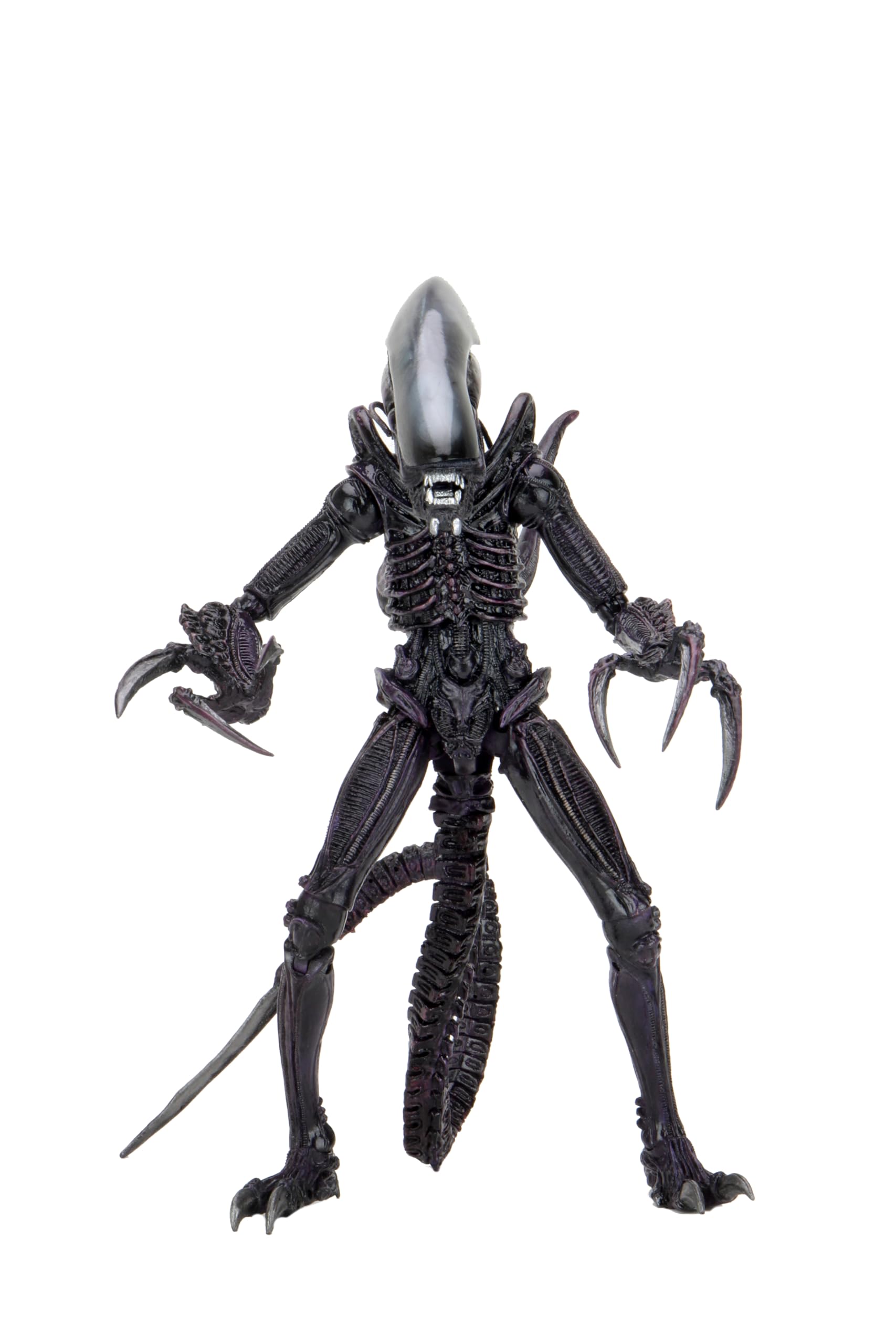 NECA Alien 17.8-cm Action Figure, Razor Claws Alien vs. Predator, Grey, Printed, 100% Plastic