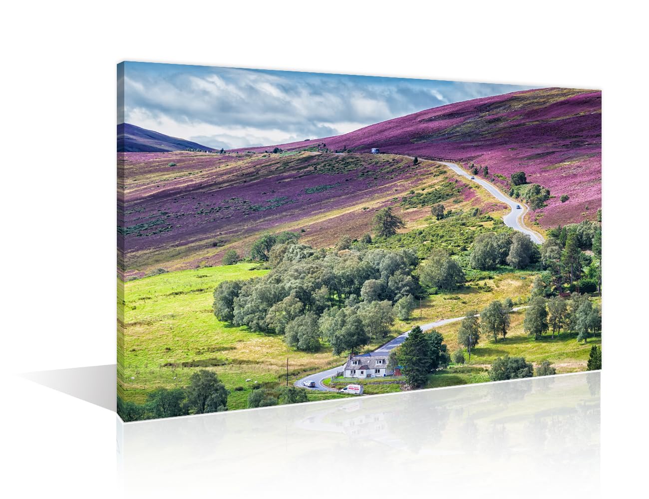 Wall Decoration for Living Room Scottish Highlands Cairngorms National Park Wall Art Lecht Ski Resort Scotland Home Decor 1 Piece Bedroom Decor Framed Ready to Hang Posters and Prints(16''Wx 24''H)