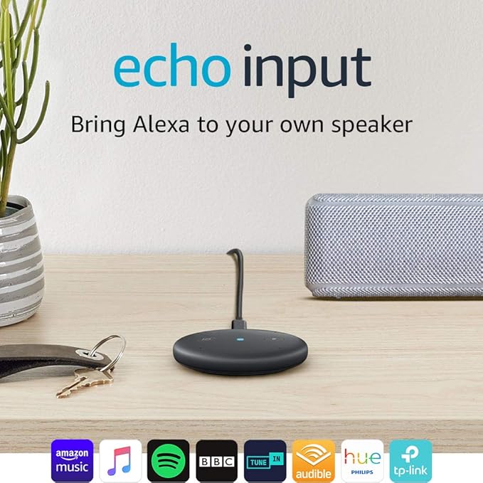 make your own alexa speaker