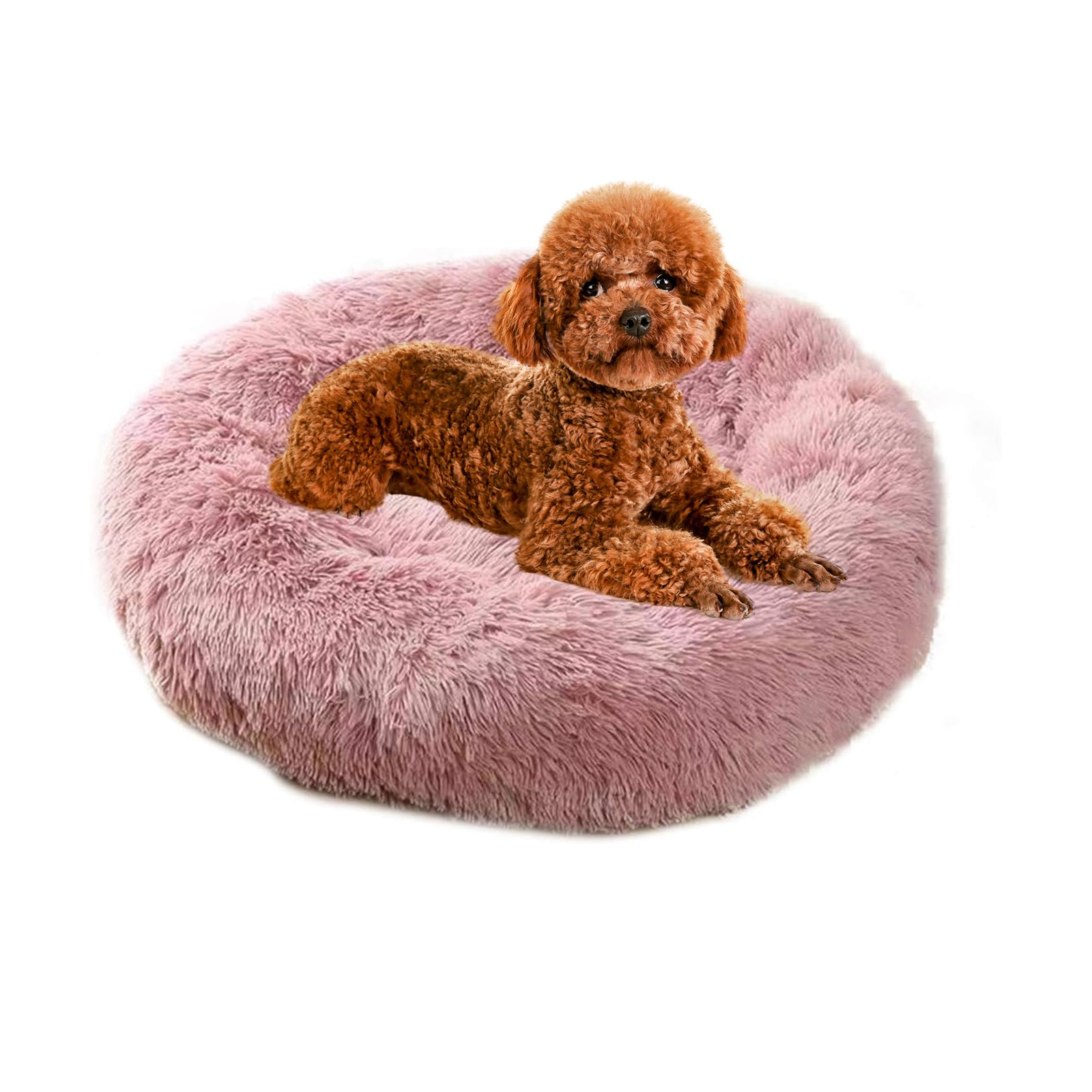 PETCUTE Dog Bed Cat Bed for Indoor Cats Washable Plush Donut Pet Bed Puppy Beds Soft Calming Cuddler Kennel Small Dog Beds