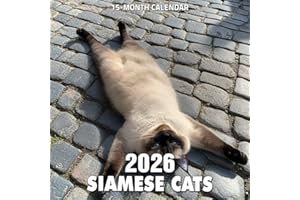 Siamese Cats 2026 Calendar: Elegant and talkative felines with vivid blue eyes