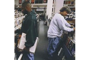 Endtroducing