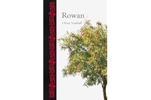 Rowan (Botanical)