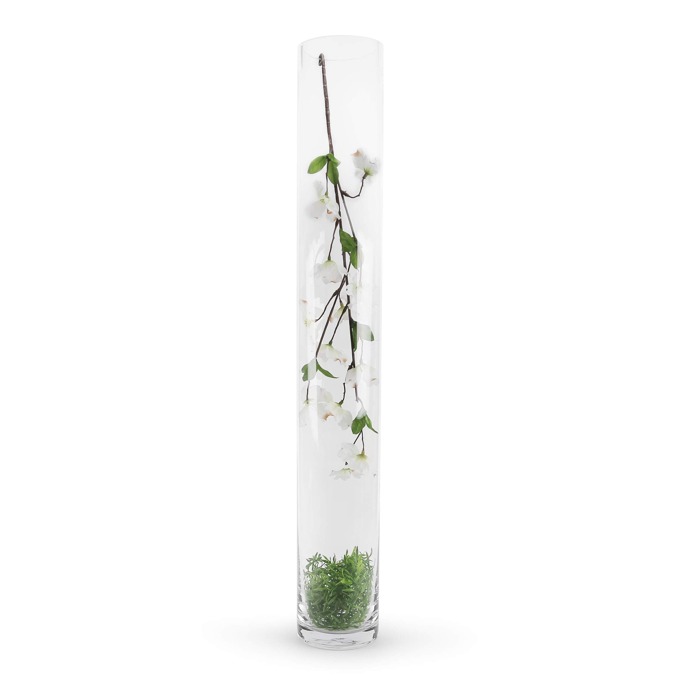 View 4