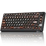 RK ROYAL KLUDGE 75% HE Mechanical Gaming Keyboard Wired Hall Effect Magnetic Compact Keyboard with Rapid Trigger 8000Hz Polling Rate Hot Swappable PCB RGB Backlit PBT Keycaps Volume Knob