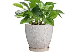 MPotTo 6 Inch Plant Pot with Drainage Hole and Saucer Ceramic Planter for Indoor Plant Flower Pot for Orchid Succulents Plants White