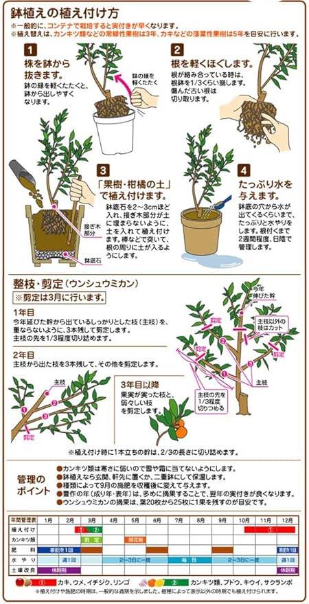 Amazon 花ごころ 果樹 柑橘の土 12l 用土