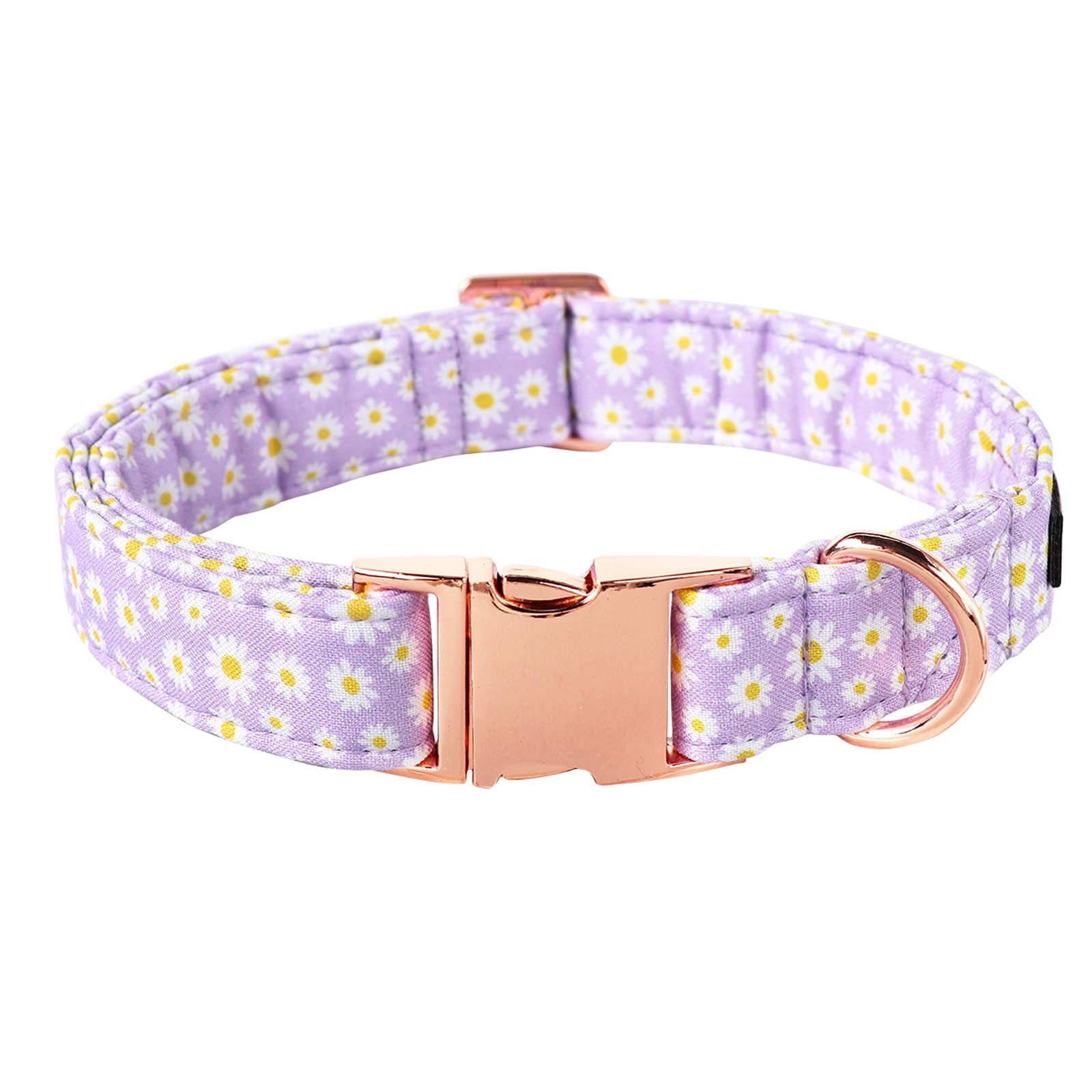 Photo 1 of Lionet Paws Dog Collar, Comfortable Adjustable Cute Collar with Metal Buckle for Male Female Dogs, Purple Daisy, Small, Neck 10-16 inches