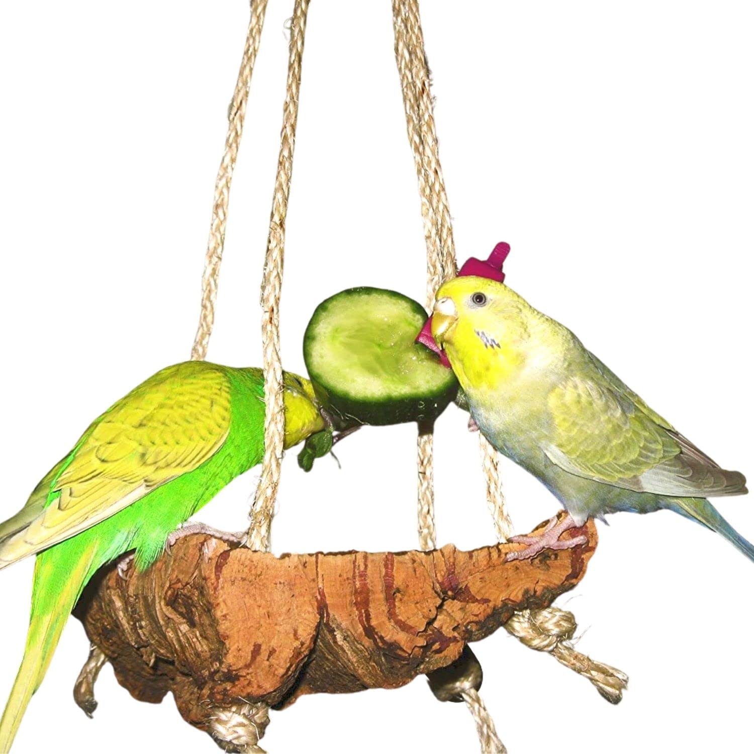 Vogelgaleria Exciting cork swing M, bird swing, seat board and pickstone at the same time
