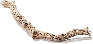 Pisces AM-CHOLLA002 18