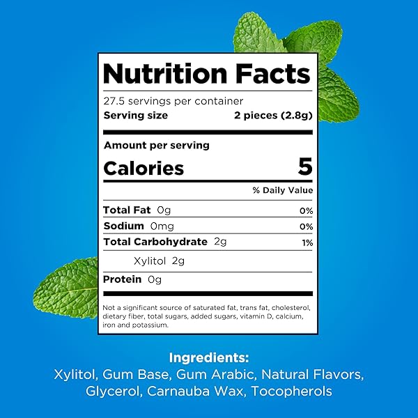 PUR GUM | ASPARTAME FREE CHEWING GUM | 100% XYLITOL | NATURAL PEPPERMINT FLAVORED GUM, 55 PIECES (PACK OF 3)