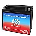 AJC® ATX20H Powersports Battery