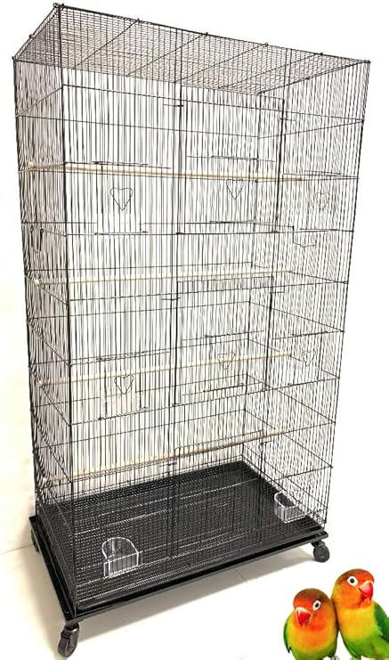 aviary supplies near me