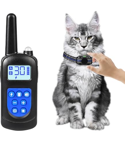 Do Shock Collars Work on Cats: Truths Every Pet Owner Must Know
