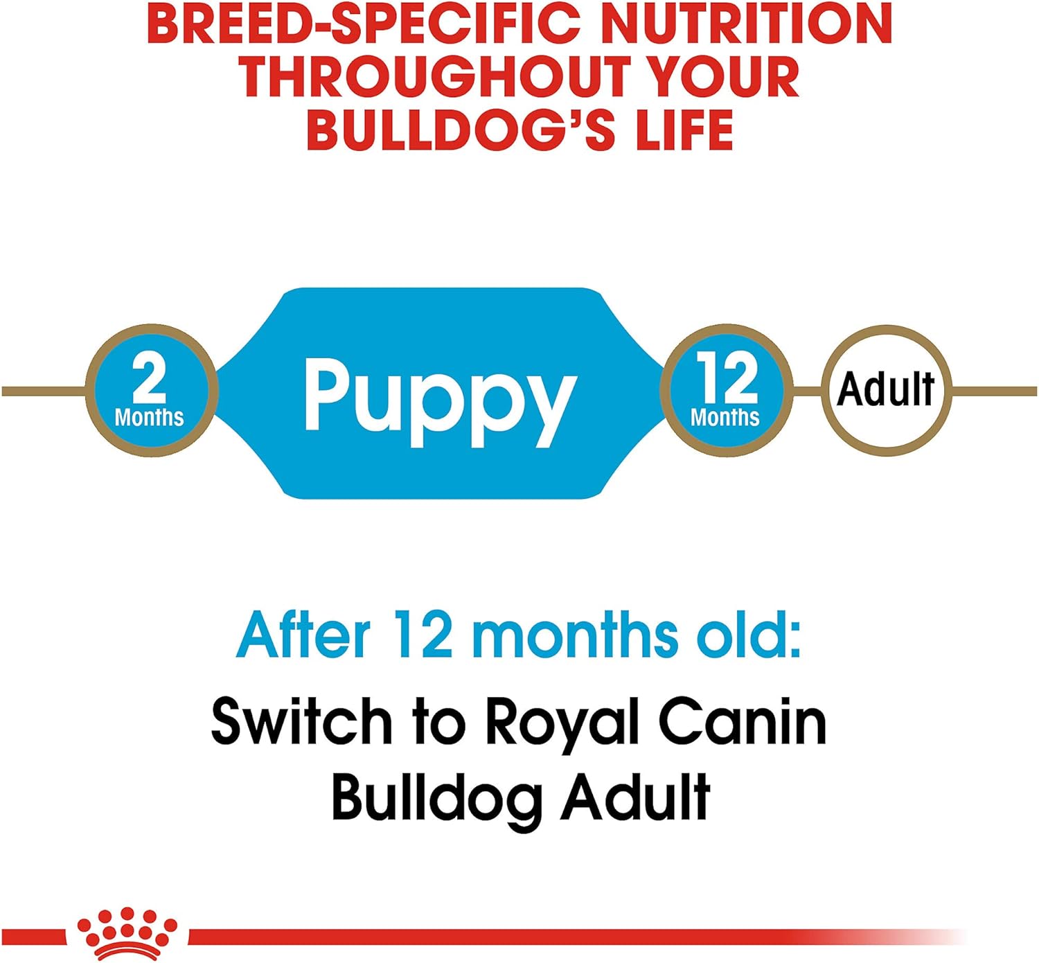 royal canin dog food bulldog puppy